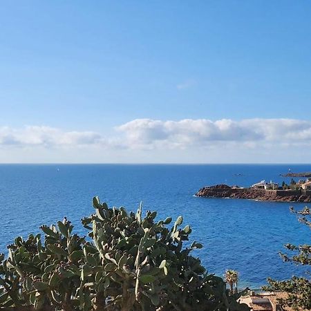 Petit Paradis Vue Mer- Plage Et Calanques A 3 Mn Saint-Raphaël エクステリア 写真