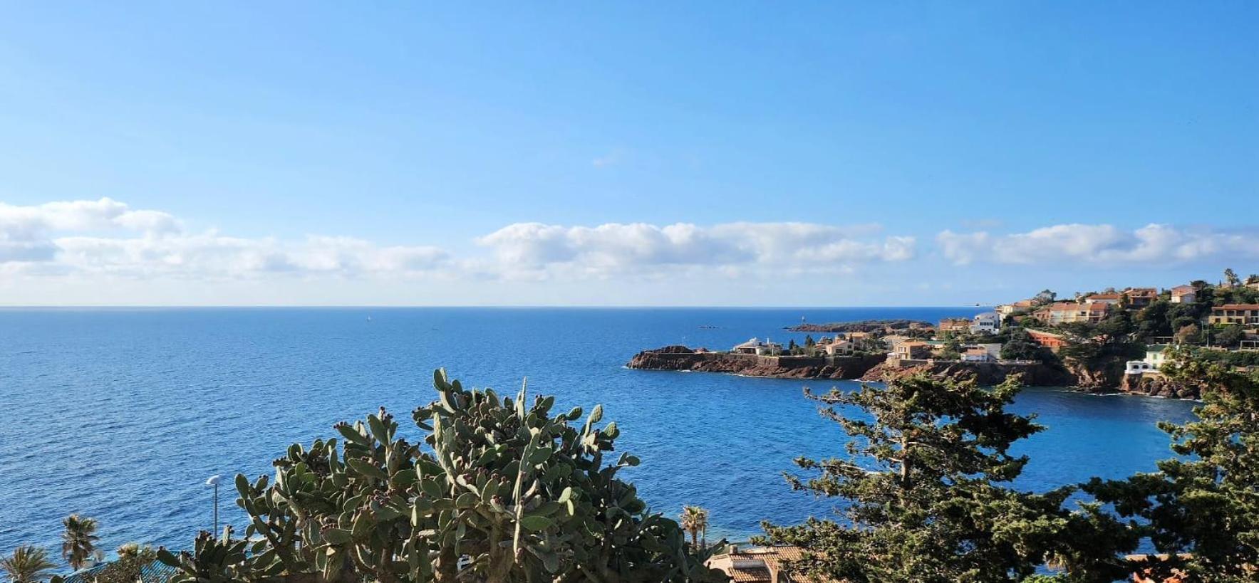 Petit Paradis Vue Mer- Plage Et Calanques A 3 Mn Saint-Raphaël エクステリア 写真