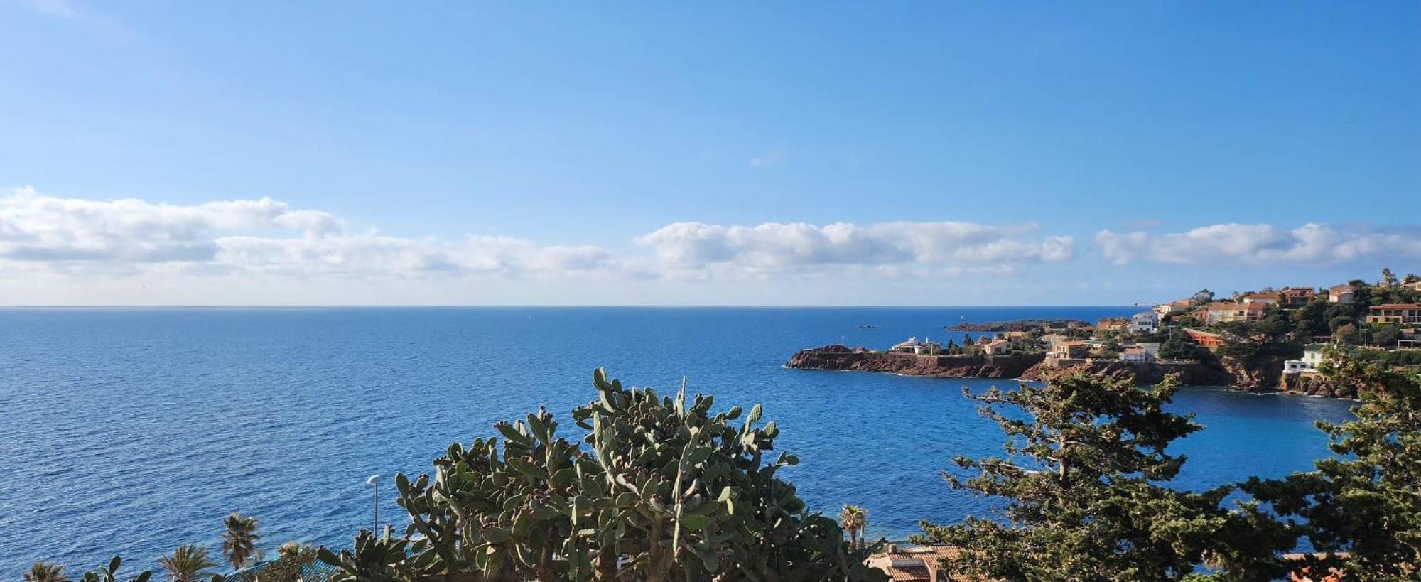 Petit Paradis Vue Mer- Plage Et Calanques A 3 Mn Saint-Raphaël エクステリア 写真